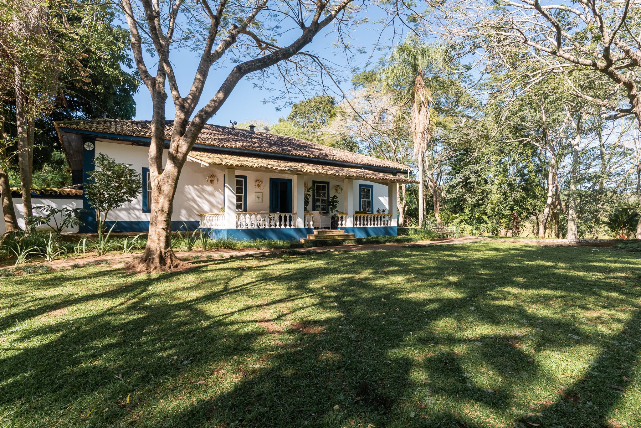 CAS0703102635