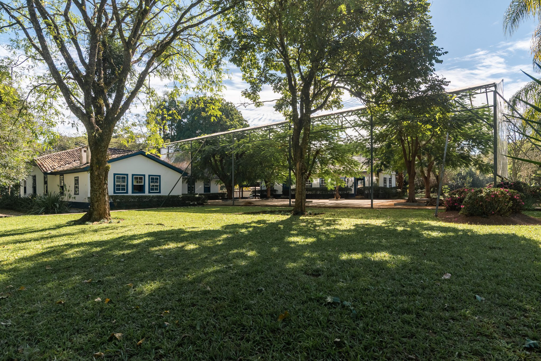 CAS0703104509
