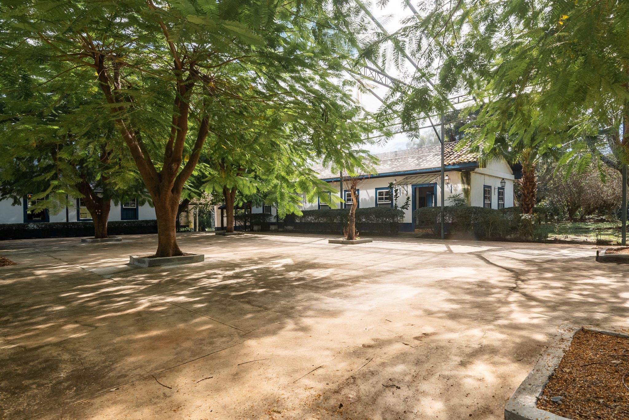 CAS0703105717